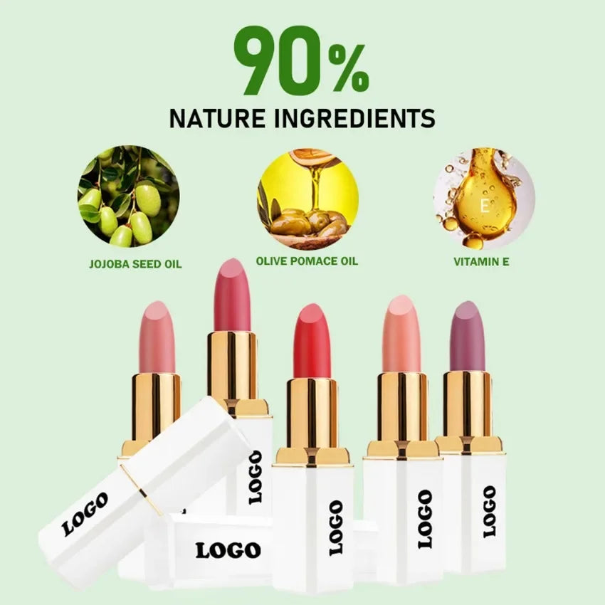 Lipstick Private Label Pigment Waterproof Long Lasting Non-stick Matte Makeup Custom Logo Bulk Cruelty Free White Square Tube